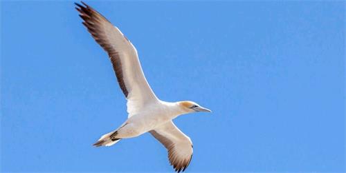 海德利餐飲具改（gǎi）變（biàn）